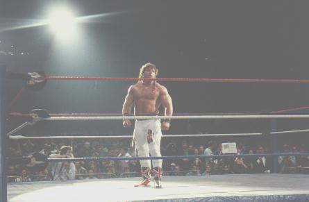 The British Bulldog