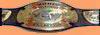 Champions ECW de la Television