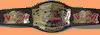 Champions du Monde WCW Poids Mi-Lourd