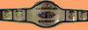 Champions WCW de la T�l�vision