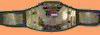 Champions des Etats-Unis WCW Poids Lourd