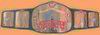 Champions WWF Europ�ens