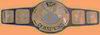 Champions du Monde WWF Poids Lourd
